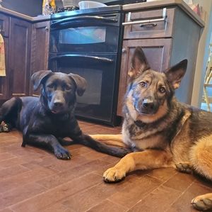 Meet your Posher, Sandy